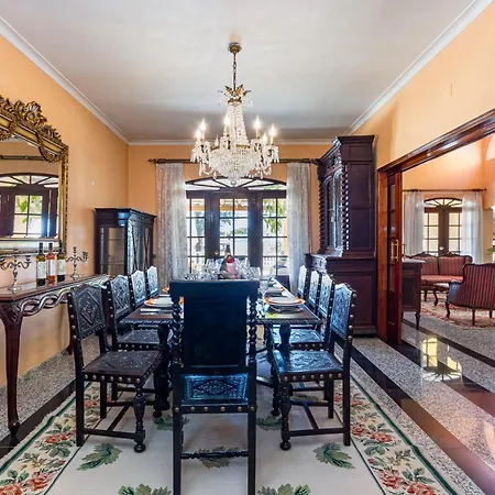 Sobreiro * Albufeira